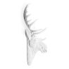 Buy Wall Decoration - White Moose Head - Ika White 55734 at MyFaktory