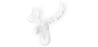 Buy Wall Decoration - White Moose Head - Ika White 55734 in the Europe