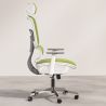 Buy Ergonomic Office Chair with Wheels and Armrests - Techas Green 61281 with a guarantee