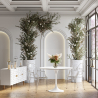 Buy Transparent Dining Chair - Armrest Design - Louis King Transparent 16461 in the Europe