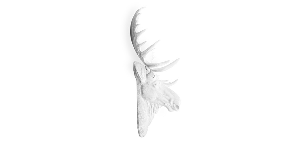 Buy Wall Decoration - White Moose Head - Ika White 55734 at MyFaktory